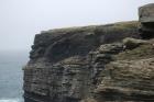 The lower sandy portion of the cliff represents the cross-bedded Tullig Formation sands, and silts. The channeling and sorting of the quartz rich character of the sands on delta front reflect waves impinging on the delta front sands that filled distributary channels and/or proximal bar sands (Andy Pulham personal commuication and Martinsen et al., 2008) . The upper portion of cliff is composed of sand stringers and shales of a marine bay within wave base. These sediments are Upper Carboniferous or Namurian in age.